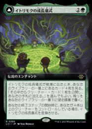 【LCI】【JPN】【Foil】《イトリモクの成長儀式/Growing Rites of Itlimoc》拡張アート版