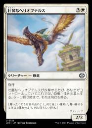 【LCC】【JPN】《壮麗なヘリオプテルス/Majestic Heliopterus》