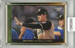 大谷翔平  BBMカードセット  Grateful  Days  19枚＋1 BBMベースボールカードセット大谷翔平Grateful Days】投打“二刀流”を