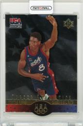 1996 Upper Deck USA Scottie Pippen #S7 SP Career Statistics