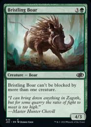 【J22】【ENG】《逆毛の猪/Bristling Boar》