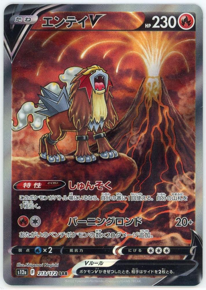 【PSA10】エンテイV SAR