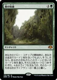 MTG 森の知恵 foil CC1 ミントモール / MINT GAMES MTG(東日本橋) / 【DMR】【JPN