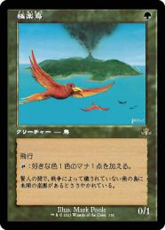 Amazon.co.jp: MTG 極楽鳥Birds of Paradis 英語版 旧枠 foil