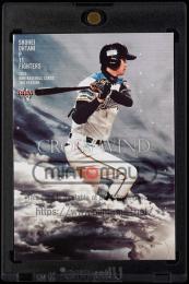 ミントモール / MINT VAULT店 (MSV委託品通販) / 2013 BBM 2nd Version