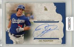 ミントモール / MINT LAB TOKYO店 / 2015 Topps Five Star Joc