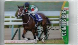 ミントモール / MINT 千葉店 / サラブレッドホースコレクション ツイン