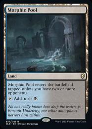 変遷の泉/Morphic Pool ZNE 英語foil 12281513_676f970ad11d8.jpg