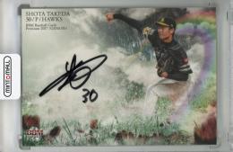 2017 BBM GENESIS 武田翔太 直筆サインカード【05/30】 福岡ソフトバンクホークス