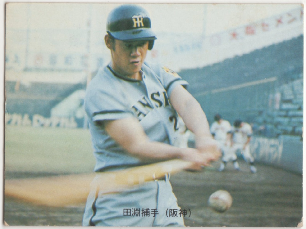 直販特別価格 1970年 カルビー株式会社 プロ野球カード 田淵幸一
